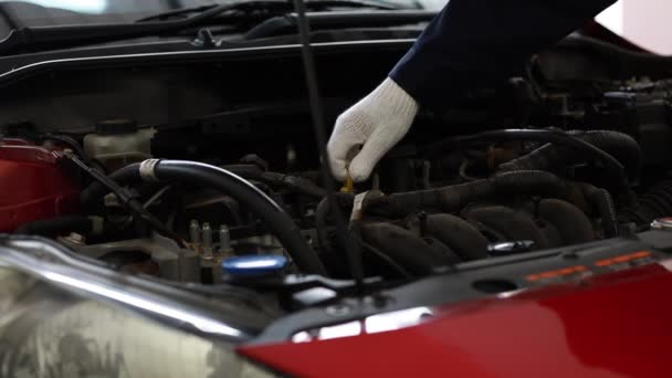 Ein Automechaniker Weißen Handschuhen Überprüft Motor Und Innenleben Eines Autos — Stockvideo