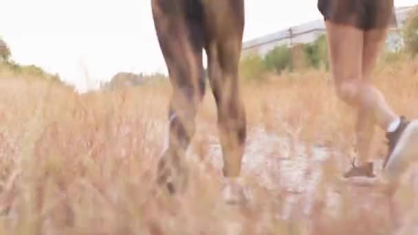 小麦畑を駆け抜ける2人の運動女 — ストック動画