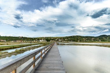 Piran 'ın tuzlu tavaları - Slovenya
