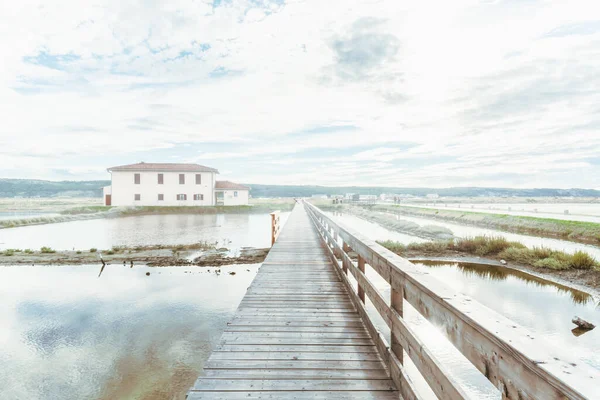 Salt Pans Piran Slovenia — Fotografia de Stock