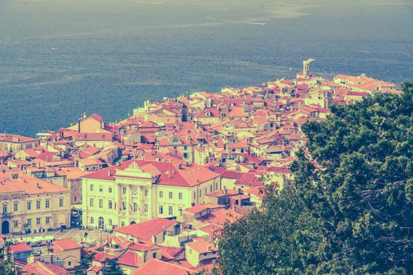 Piran Slovenia Architecture Travel — 스톡 사진