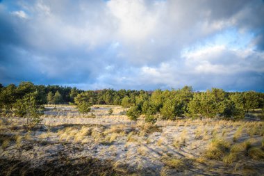 Hel, Polonya, doğa, seyahat