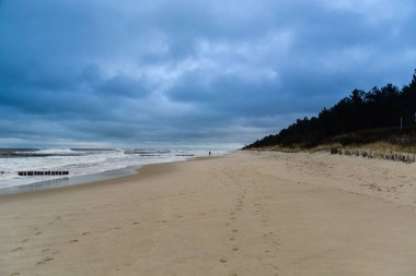 Baltık Denizi - Polonya, doğa