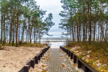 Denize Giden Yol - Polonya