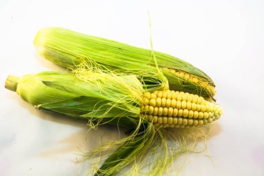 Masadaki mısır, kapat.