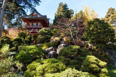 San Francisco, ABD. Seyahat