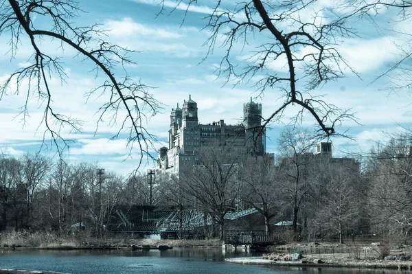 Central Park New York Usa — Stock Photo, Image