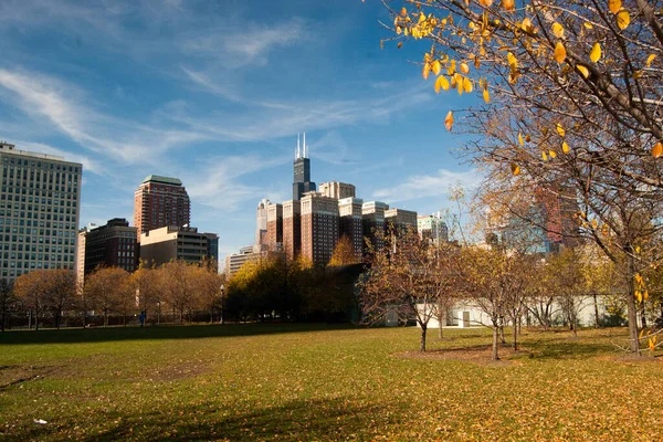 Chicago Panoramautsikt Vid Solljus — Stockfoto