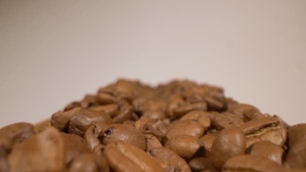从巴西看咖啡豆的幻灯片.探光镜. — 图库视频影像