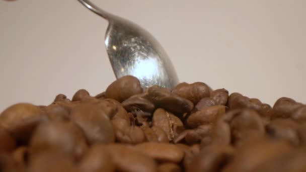 宏观调控茶匙把咖啡豆推到摄像机前的镜头。探头镜头，甜咖啡. — 图库视频影像