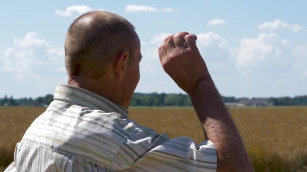 Primer plano del hombre hablando emocionalmente de sus campos de grano. Hombre adulto gestos con la mano . — Vídeos de Stock
