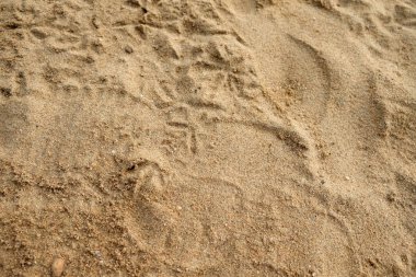 Summe sahilde kum üstten görünüm