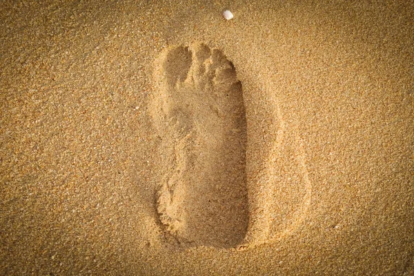 Ayak izi beac kapatın