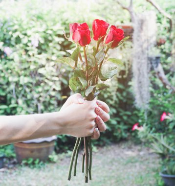 Arkasından kırmızı gül tutan adam. Sevgililer günü Hediyelik konsepti