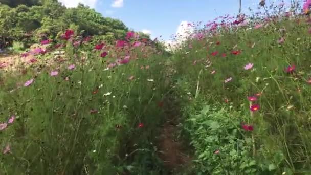 幸せの丘。自然の抽象的な背景 — ストック写真 © tolokonov