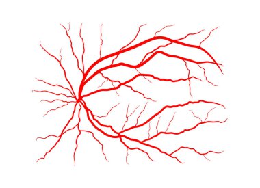 eye vein system x ray angiography vector design isolated on white clipart