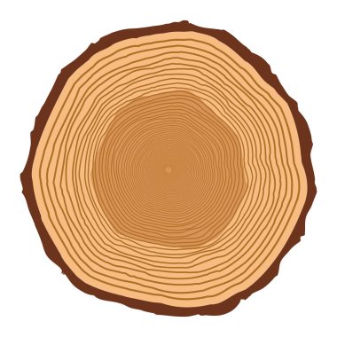 izole üzerinde beyaz arka plan ağaç gövde yüzük tasarım