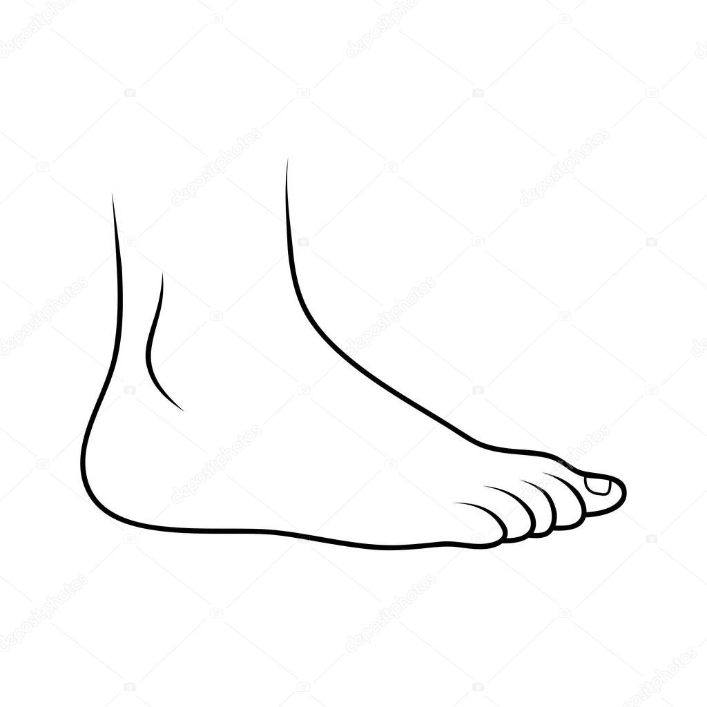 Foot  icon outline design isolated on white backgroun