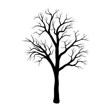 bare tree winter design isolated on white backgroun clipart