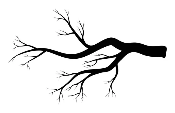 白い背景がある上に分離されて裸の枝冬デザイン — ストックベクタ
