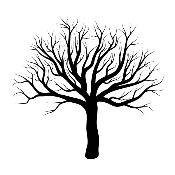 Holý Strom Zimní Design Izolovaných Bílém Poza — Stockový vektor