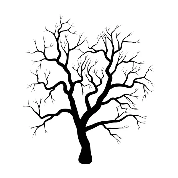 Diseño Invierno Árbol Desnudo Aislado Sobre Fondo Blanco — Vector de stock