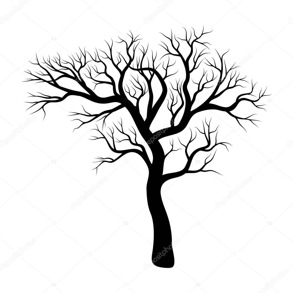 Bare tree winter design isolated on white backgroun