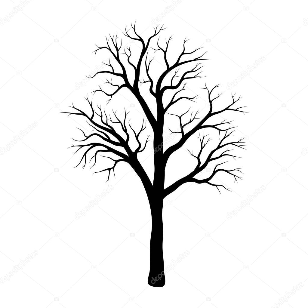 Bare tree winter design isolated on white backgroun