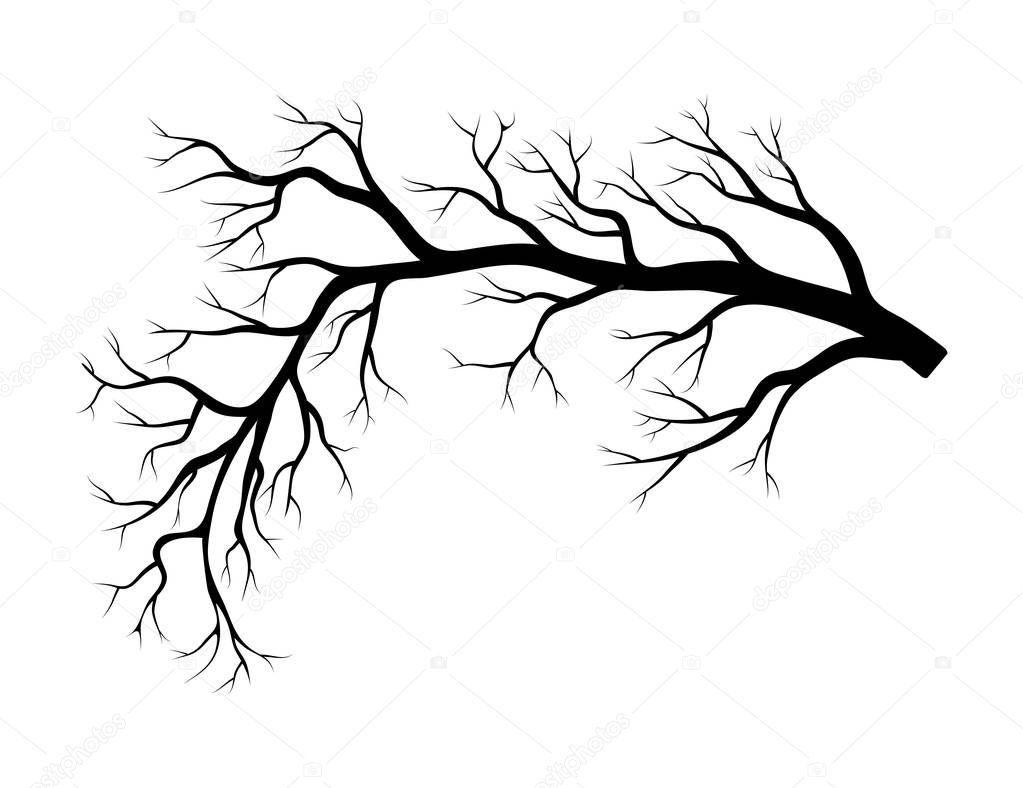 Bare branch winter design isolated on white backgroun
