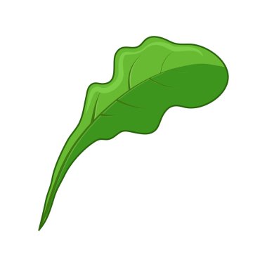 Sebze yaprağı simgesi tasarımı beyaz arkaplanda izole edildi