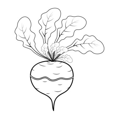 Anahat şalgam çizgi film simgesi tasarım üzerinde beyaz adam izole