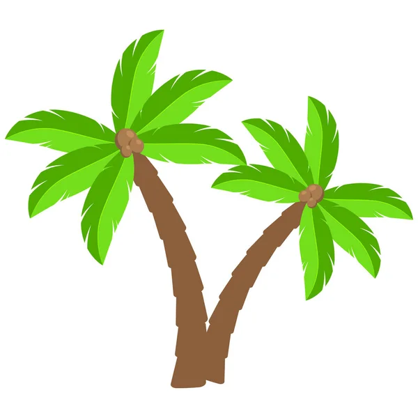 Tropical Palm Trees Cartoon Illustration Two Curved Coco Palm Isolated — Stock Vector