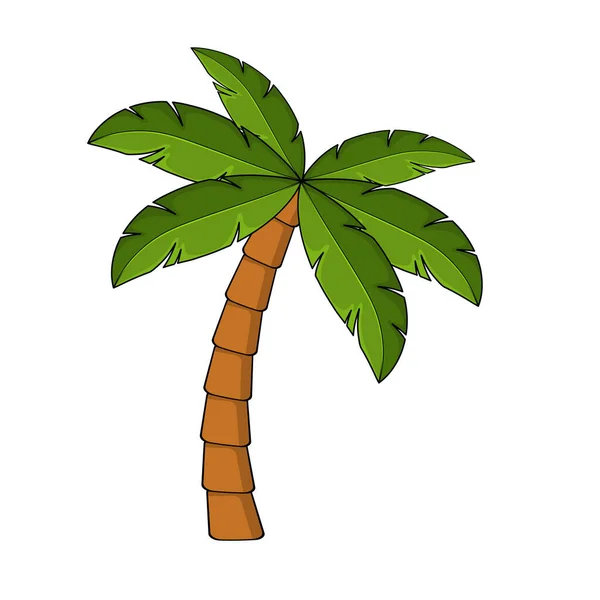 Caricatura Palmera Aislada Blanco Clipart Una Sola Palma Plantilla Para — Archivo Imágenes Vectoriales