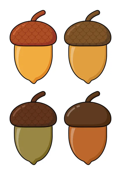 Ensemble Vecteur Dessin Animé Acorn Isolé Sur Blanc Fruits Arbre — Image vectorielle