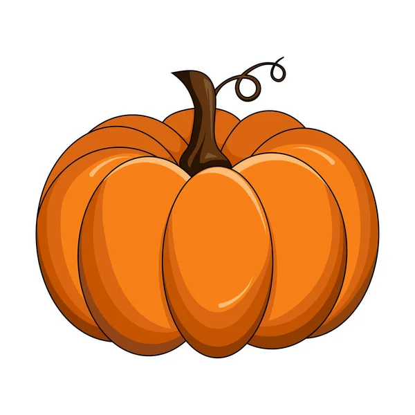 Imagen Vectorial Dibujos Animados Otoñales Calabaza Aislada Blanco Naranja Saludable — Vector de stock