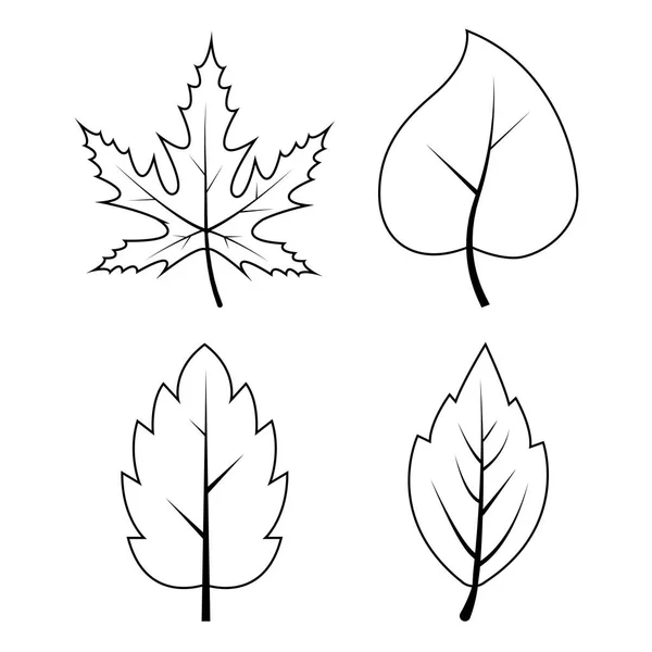 Leaves Outline Autumn Symbols Collection Contour Autumnal Falling Leaf Sketch — Stock Vector