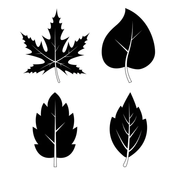 Feuilles Silhouettes Collection Symboles Automne Feuille Tombante Automnale Noire Blanche — Image vectorielle