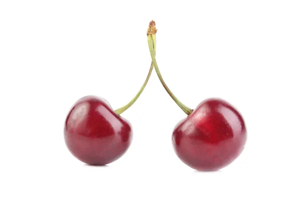 Cerises isolées sur blanc — Photo