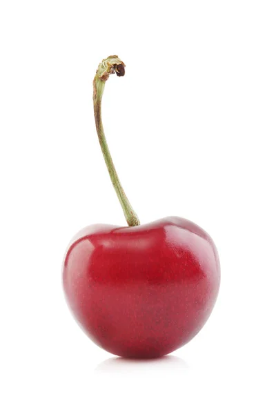 Cherry isolated on white — Stock Photo, Image