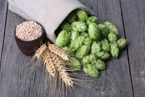 Ingredients for brewing beer — Stock Photo, Image