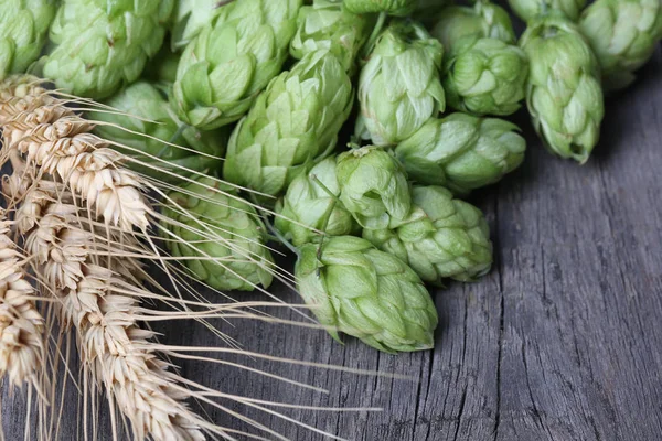 Hops cones and ears of wheat on wood background — Stock Photo, Image