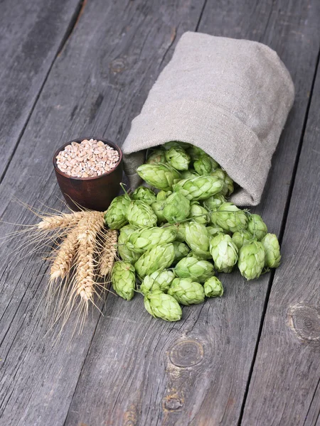 Cônes de houblon et épis de blé sur fond de bois — Photo