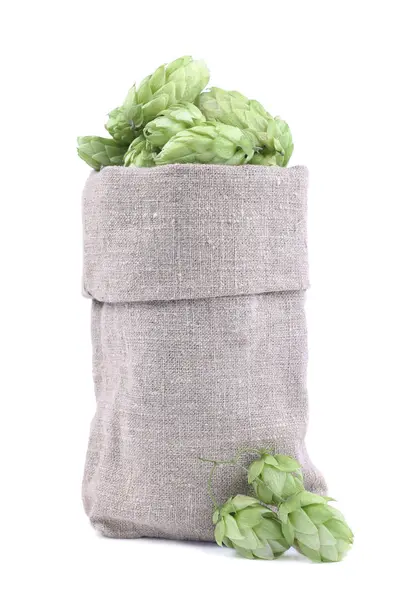 Hop cones in burlap sack isolated on white — Stock Photo, Image