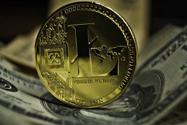 cryptocurrency litetcoin para doları banknot üzerinde döşeme