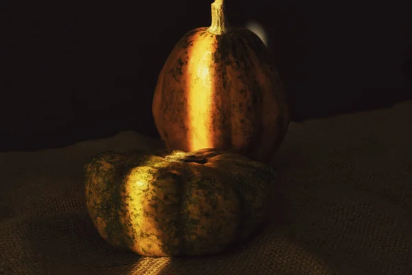 Abóboras de outono no estilo acolhedor rústico escuro — Fotografia de Stock