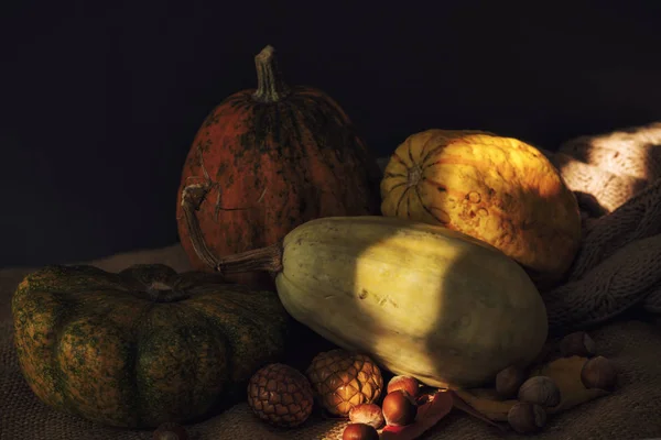 Zucche di autunno in stile rustico scuro accogliente — Foto Stock