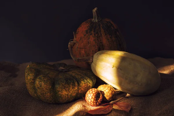 Autumn pumpkins in dark rustic cozy style — Stock Photo, Image