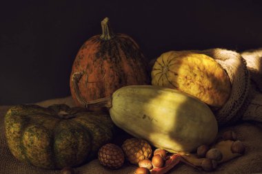 Sonbahar Kabak Koyu rustik rahat tarzı