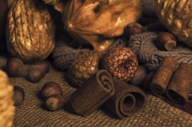 Sonbahar Kabak Koyu rustik rahat tarzı