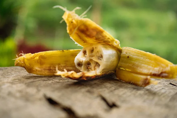 Musa balbisiana, tohumlu yabani muz